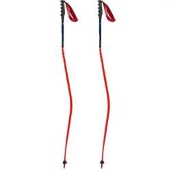 Swix WorldCup Pro DH -Atomic Negozio online 19 wc pro dh FA125 00 neu 1