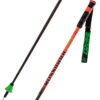 Rossignol Hero CAK Green Light Poles 2 Rossignol Hero CAK Green Light Poles -Atomic Negozio online 22 hero cak RDL1000