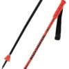 Rossignol Hero GS/SG JR Poles