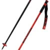 Rossignol Hero SL Poles -Atomic Negozio online 22 hero sl RDL1030