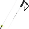Head Worldcup Rebels Carbon Poles