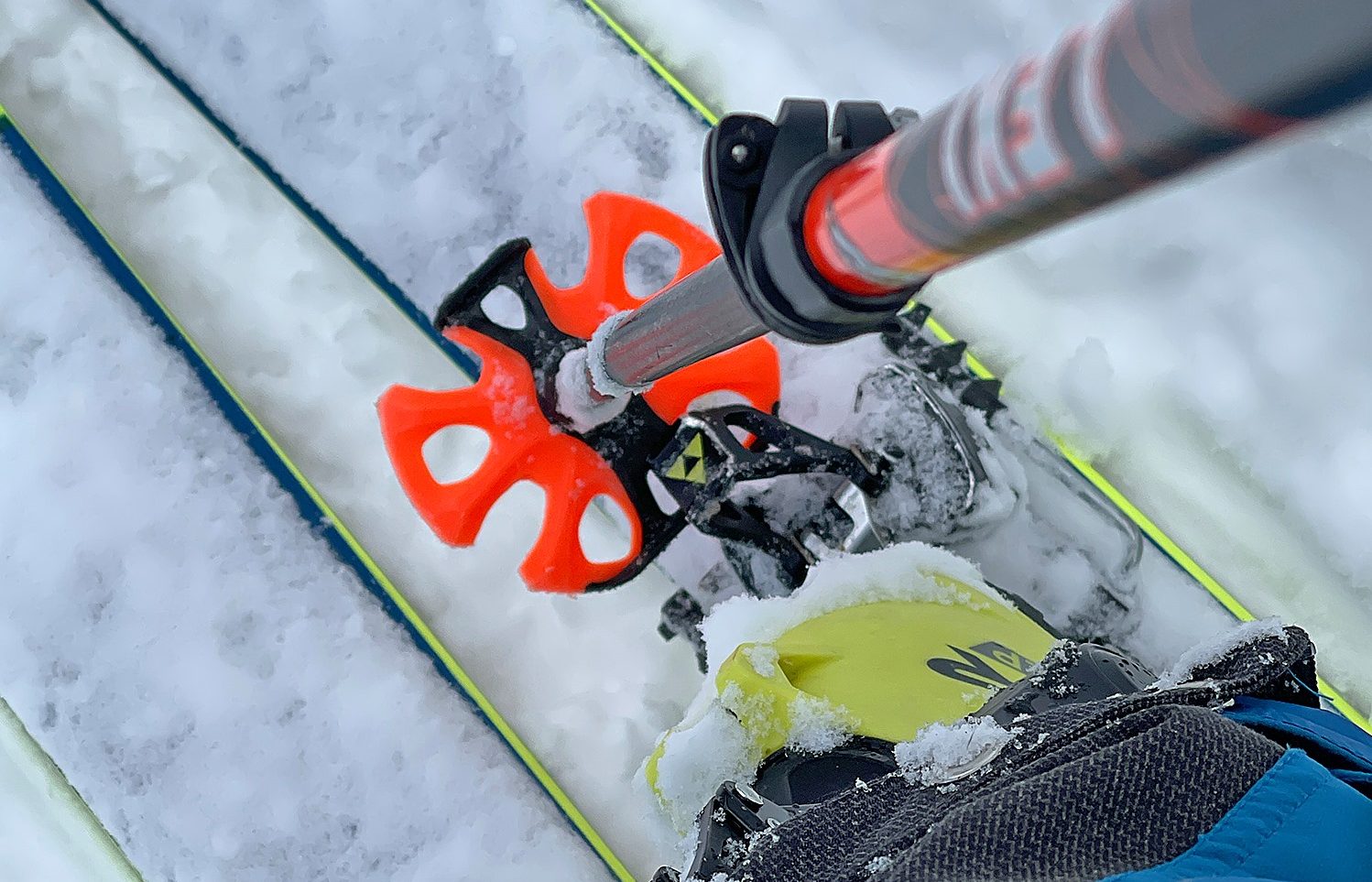 Atomic Negozio online 2 Atomic Negozio online -Atomic Negozio online 245654722 10160204160634050 4059445018887634552 n e1672714694987